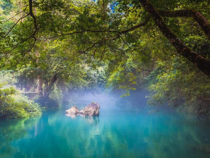 El poder de la quietud